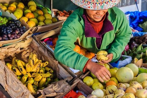 Halbtages-Gastronomietour: Surquillo Markt + Pisco Sour und Ceviche + Miraflores