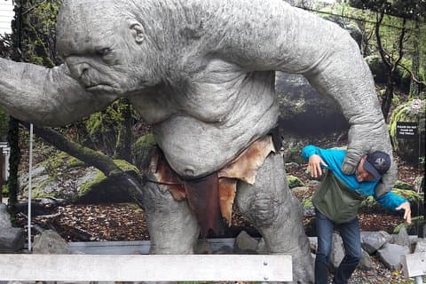 Half Day Tour of Wellington