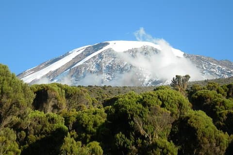 Mountain Kilimanjaro Climbing 8 Days Lemosho Route