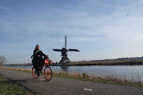Kinderdijk Area Cycling Tour