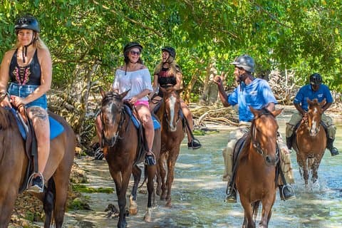 Ridning och simning från Ocho Rios