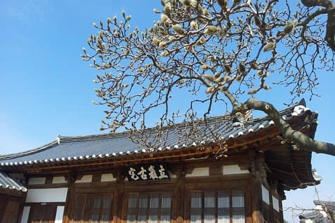 Andong Hahoe Village [UNESCO site] Premium Private Tour from Seoul