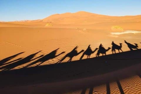 4 days trip from FEZ to MARRAKESH, spending a night in MERZOUGA and TODRA GORGES
