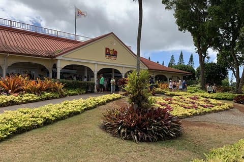 Kleingruppentour auf Oahu, Dole Plantation, Northshore, Sunset Beach