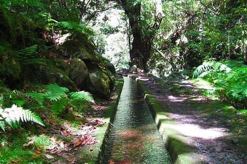 Hidden Corners: Levada Walk vanaf Funchal