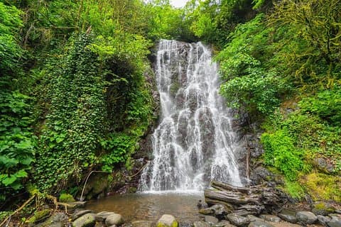 Tour enológico por las cataratas de las montañas de Adjarian Las mejores vistas desde Batumi Kobuleti