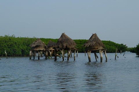 Sensafari Yo private driver & tour guide in the shell island