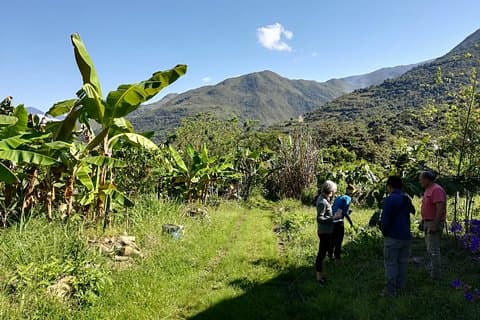 Journée complète: Expérience à la ferme de Cacao dans la jungle de Cusco