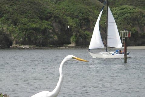 Private Sailing Tour of Bodega Bay