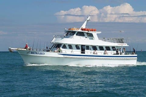 Excursion d'une demi-journée de pêche en haute mer à Miami depuis Bayside Marketplace