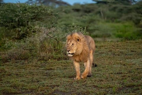 6 Days Safari Wildlife and Culture Tour