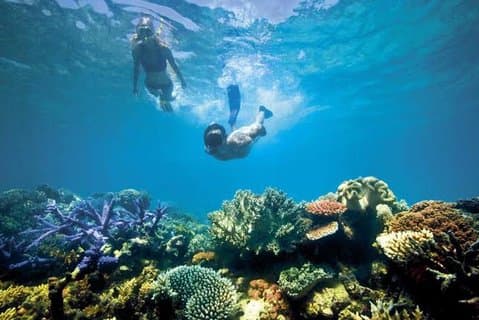 Bali Snorkeling en Blue Lagoon Padang Bai