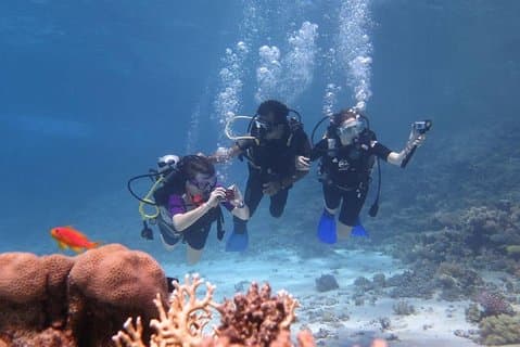 Buceo Padi En Marsa Alam