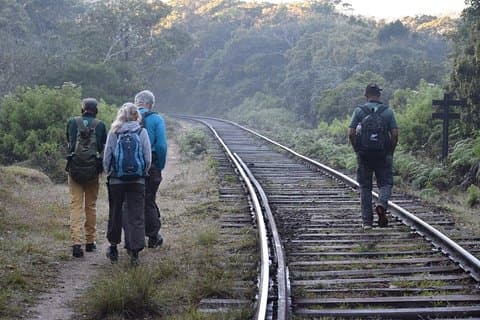 Caminata a la frontera de Horton Plains a través de las vías del tren