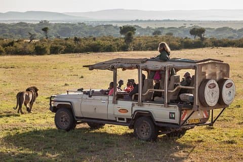 Cape Town 3-Day Attraction Tour:Safari Tour & Wine& Robben Island