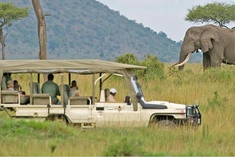Restauranter i nærheten av Days Aquila Safari & Robben Island Getaway