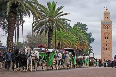 1 Day trip to Marrakech from Agadir with group including guide