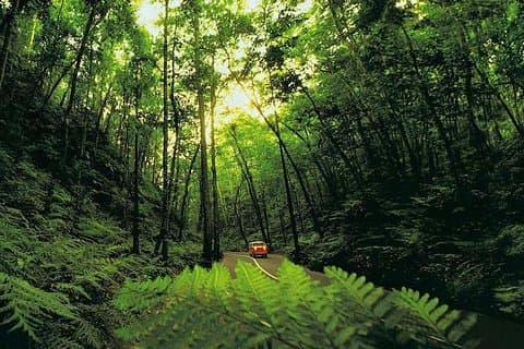 Ocho Rios Highlight Tour Horseback And Blue Hole Combo
