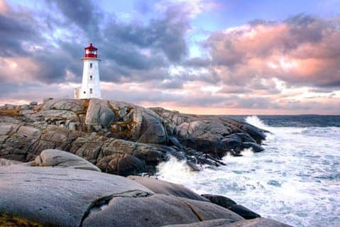 Excursion sur la côte d'Halifax : excursion d'une demi-journée à Peggy's Cove