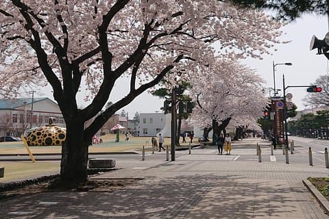 [Aomori Prefecture] Besøk historien og arkitekturen i Towada City, kunstbyen
