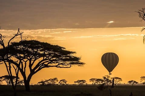 Tanzanie - Safari culturel et culturel - 11 jours