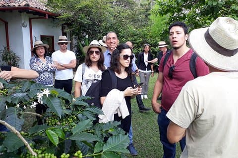 Coffee & flowers: Coffee Experience in Bogotá, Colombia