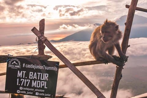 Hiking & Bali Swing