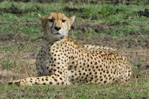 4 Days Kilimanjaro Experience - Mombasa