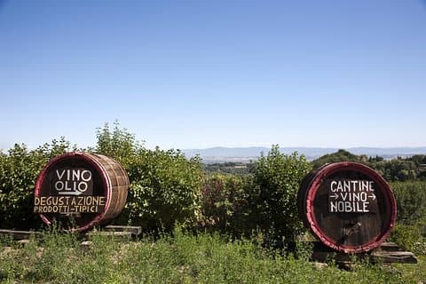 Chianti Region and San Gimignano including wine tasting and light lunch