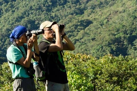 Tour Encuentro de Vida Silvestre Mindo desde Quito