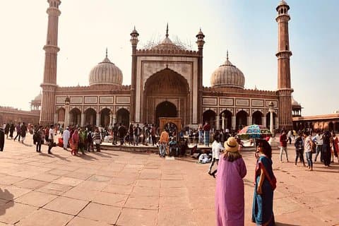 Privétour naar oud en nieuw Delhi