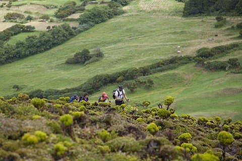 Excursión privada de senderismo por 10 volcanes en Faial