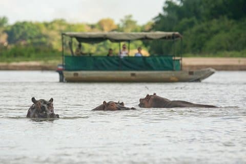 Pilote Selous Game Reserve de 3 jours au départ de Dar es Salaam
