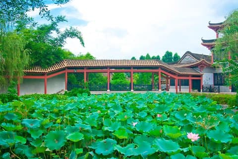 Foshan Tour con Bullet Train Transfer da Hong Kong