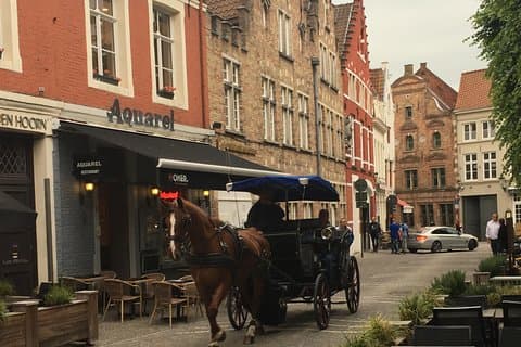 Round-trip Shuttle Service från Zeebrugge till Brygge