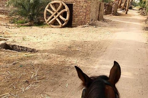 Rural Reiten Abenteuer
