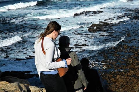 Pico de Chapman | Pinguinos | Punto del cabo