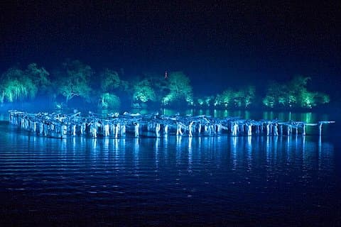 VIP sentou memórias duradouras do Hangzhou Show Tour com jantar autêntico