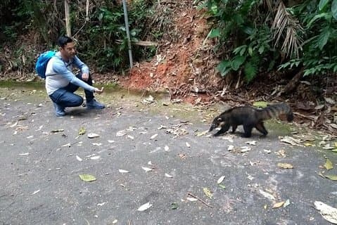 Tijuca Forest National Park