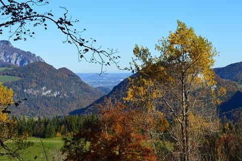 Berchtesgaden-Obersalzberg privat halvdags historisk rundtur från andra världskriget