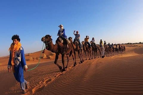 Expérience de balade à dos de chameau