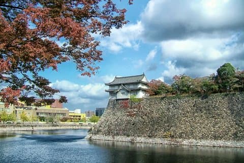 Osaka Castle & Blossoms: A Journey Through History and Beauty