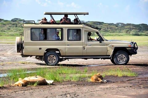 4 Tage Masai Mara Lodge Safari im 4x4 Land Cruiser Jeep