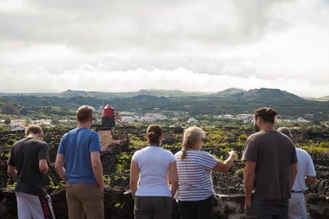 Banana Trip - Tour privado de día completo a Pico con ida y vuelta desde Faial