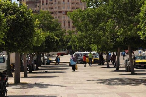 Day tour at Alexandria