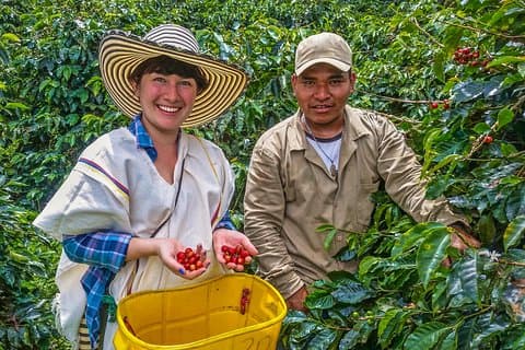 Cali: Kaffeetour – Entdecken Sie die Geheimnisse von 100 % kolumbianischem Kaffee