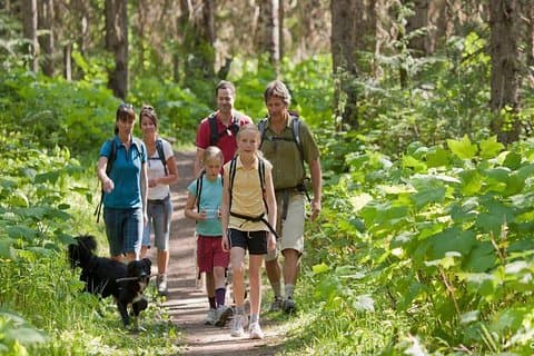 Los Haitises nasjonalpark Båttur + Vandring 2 timer i regnskogen