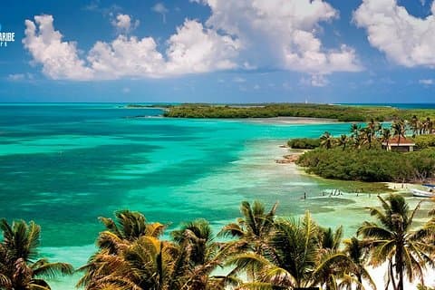 Two Fantastic Islands To Discover: Tour To Contoy & Isla Mujeres