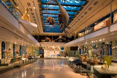 Inngang til Natural History Museum of Los Angeles County