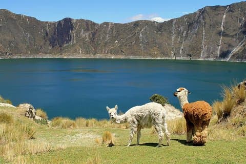 Kulturtour Laguna Quilotoa: Wandern und Abstieg in die Lagune inklusive